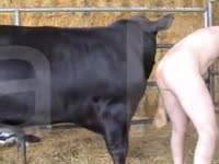Old grandpa likes getting fucked hard by his bulls